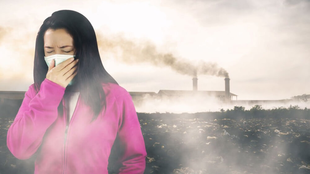 air pollution affects the skin