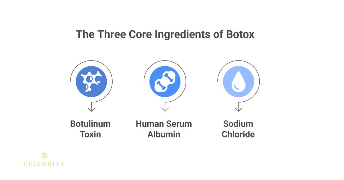 Infographic showing the three core Botox ingredients: botulinum toxin, human serum albumin, and sodium chloride.